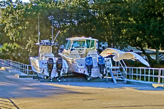 October2011/CIMG2716.jpg