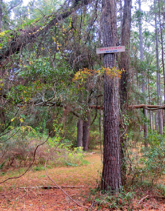 October2011/CIMG3164.jpg
