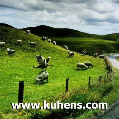 kuhens.com.jpg